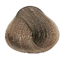 8.1y.webp