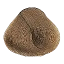 8.13y.webp