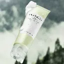 centefoam2.webp