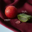 freshw3.webp
