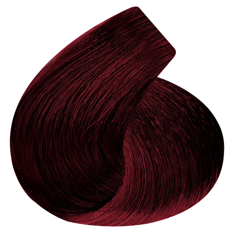 ct6.66.webp