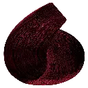 ct6.66.webp