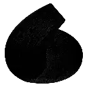 ct1.webp