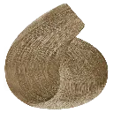 ct10.1.webp