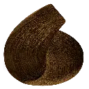 ct7.webp