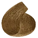 ct8.webp