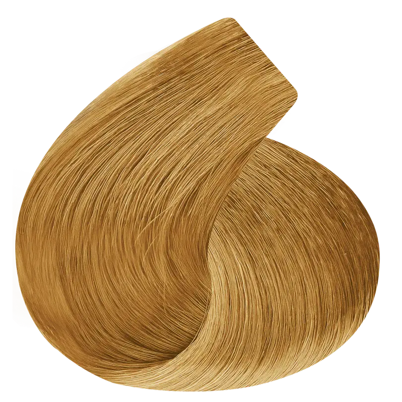 ct9.webp