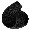1.0.webp