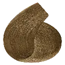 8.0.webp