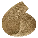 9.0.webp