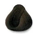 7N.webp