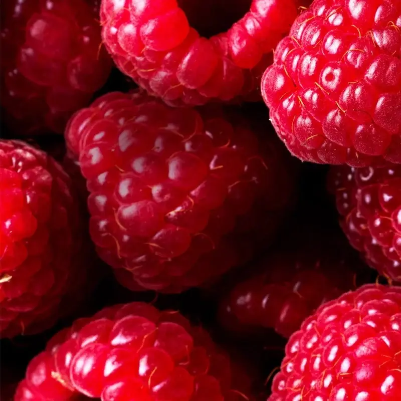 raspberry4ncute.webp