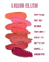 liquidb1.webp